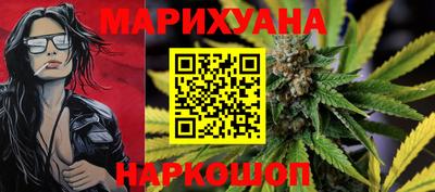 сатива Новокубанск