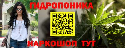 ALPHA-PVP Новозыбков