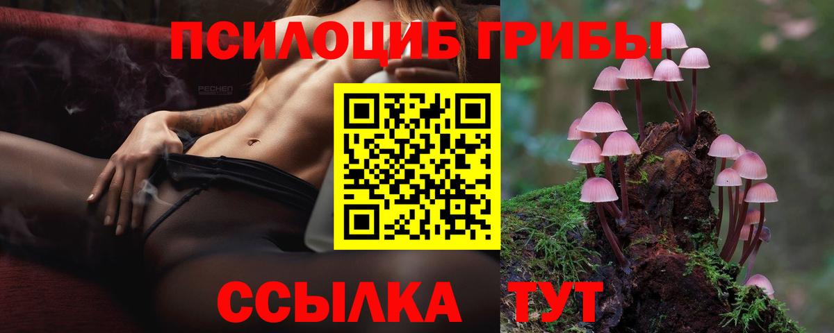 Псилоцибиновые грибы прущие грибы  Вход с VPN  Псилоцибиновые грибы Psilocybine cubensis  Сосновый Бор 